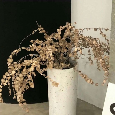 Furry兽圈创作趋势福瑞交流群